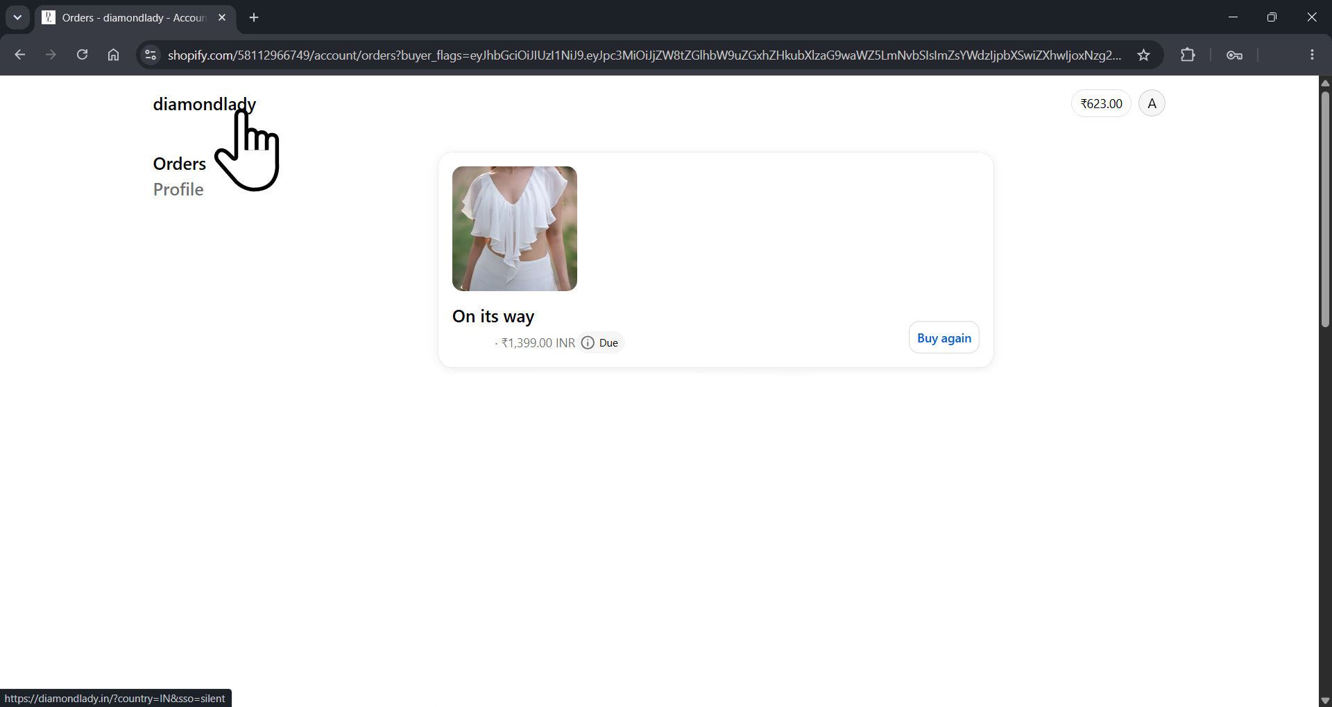View orders and store-credit balance in the account